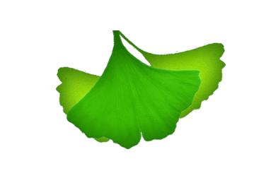 GINKGO LANGEN e.V.